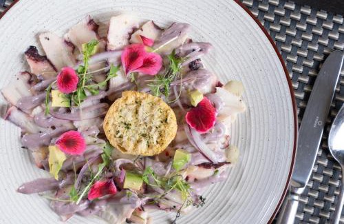 Historical District Hotel | Terrado Suites Antofagasta