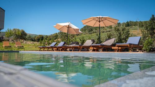 Vila Ruiva Apartment | TerraSense Mountain Charm Retreat & Farm