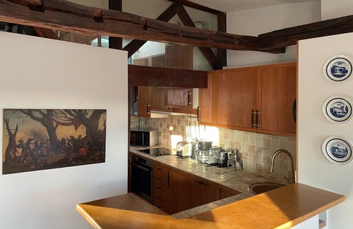 Odeon Apartment | Terrasse du Prince, top location 2 BR/BTH, A/C lift parking terrace, close M&RER
