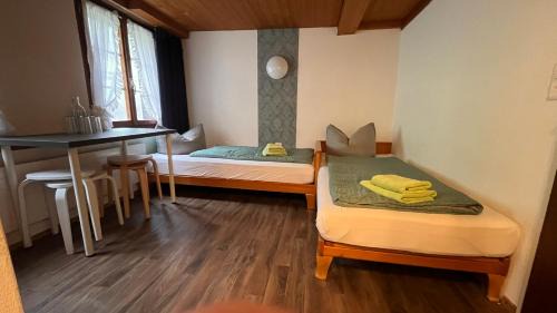 Gadmen Hotel | "Terrasse" Nessental