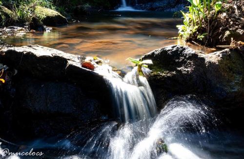 Goncalves Ski Chalet | TerraViva Glamping