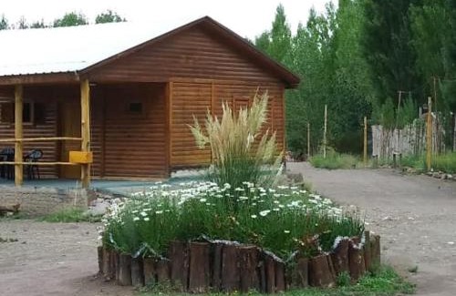 Uspallata Ski Chalet | Terrazas de Uspallata