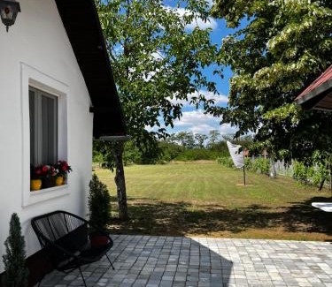 Palic House | Terrazzo house