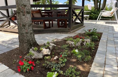 Palic House | Terrazzo house