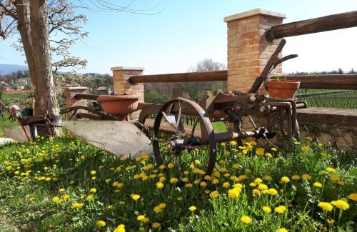 Susegana Bed & Breakfast | Terre Boscaratto
