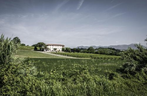 Susegana Bed & Breakfast | Terre Boscaratto