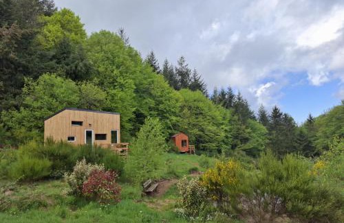 Saint-Rirand Other | Terre d'oyali