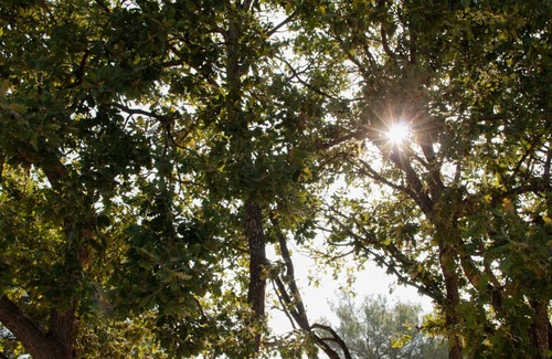 Montegrosso Bed & Breakfast | Terre di Sveva - Luxury stay in Puglia