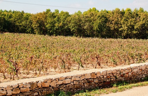 Montegrosso Bed & Breakfast | Terre di Sveva - Luxury stay in Puglia
