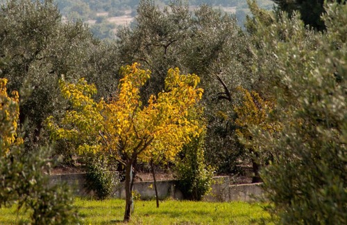 Montegrosso Bed & Breakfast | Terre di Sveva - Luxury stay in Puglia