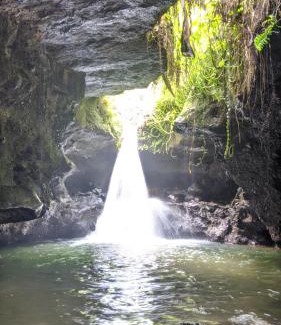 Tetebatu House | Tetebatu Mountain View Homestay