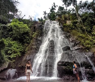 Tetebatu House | Tetebatu Mountain View Homestay