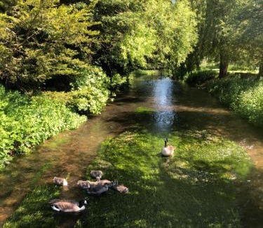 Hertford Hotel | Tewinbury Farm Hotel