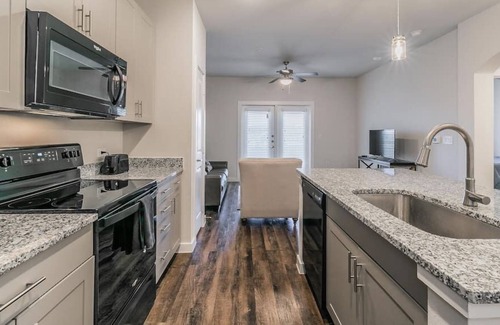 Elmo Apartment | Texas Corporate Housing Solutions Professional Apt