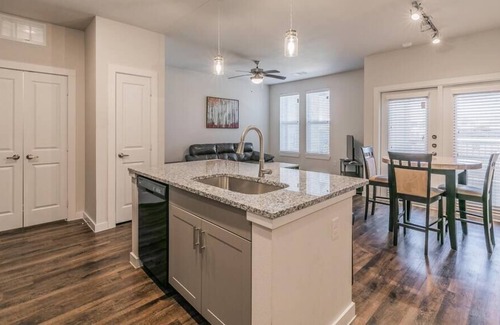Elmo Apartment | Texas Corporate Housing Solutions Professional Apt