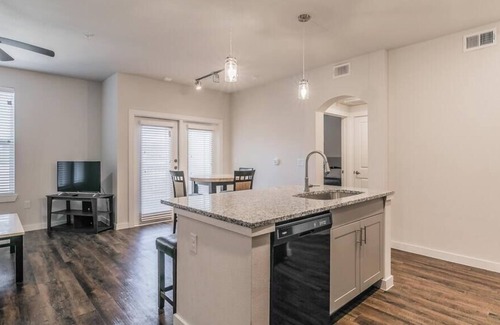 Elmo Apartment | Texas Corporate Housing Solutions Professional Apt