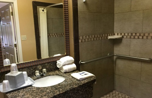 Alamo Hotel | Texas Inn Alamo