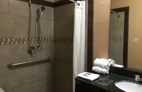 Alamo Hotel | Texas Inn Alamo