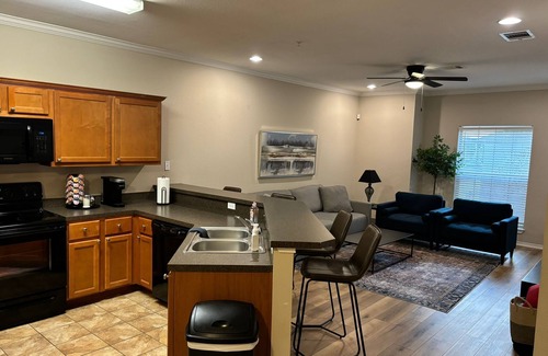 North Overton Condo | Texas Tech Condo - Prime Location - Walk to Campus, Broadway and Downtown