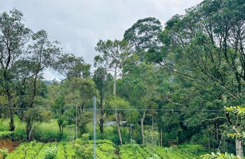 Bandarawela House | tGarden Resort, Kithalella