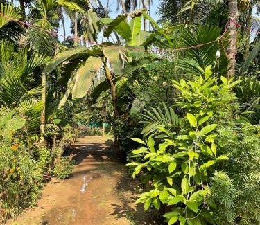 Alibaug House | Thakur holiday homes