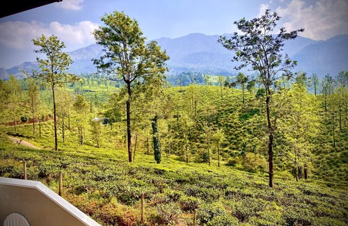 Vythiri House | "Thalimala Bungalow, Experience A Vintage Colonial Charm in a Tea-Scaped Haven"