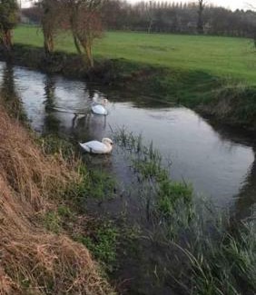Cirencester House | Thames Cottage, Old Mill Farm, Cotswold Water Park