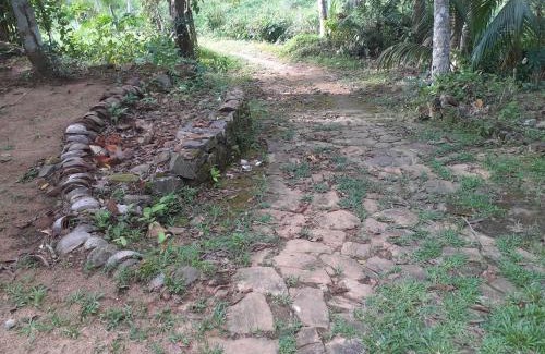 Welivitiya-Divithura Apartment | Thanabaddegama villa