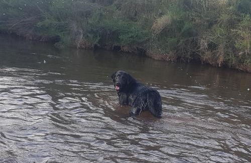 Sabie Apartment | Thandamanzi Self Catering