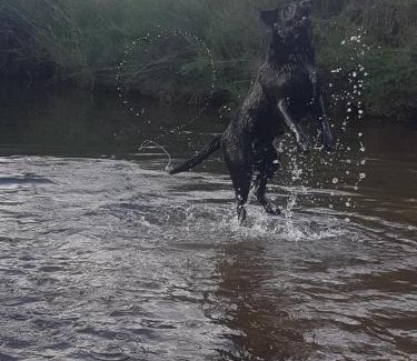 Sabie Apartment | Thandamanzi Self Catering