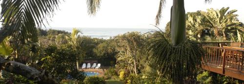 Blythedale House | Thatch by the Sea