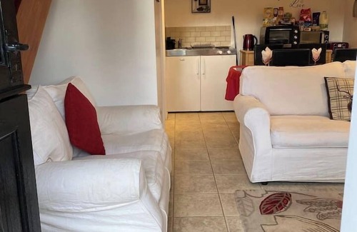 New Forest District Apartment | Thatched cottage with hot tub, games room, and garden – ideal for romantic breaks or family escapes