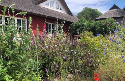 Altenkirchen Cottage | Thatched farmhouse Schwalbenhof Gudderitz
