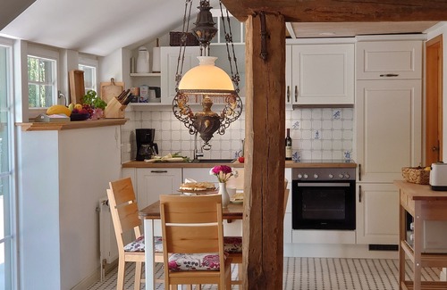 Ihlow Apartment | Thatched roof vacation apartment De Leev - Country house Lübbertsfehn in the middle of East Frisia