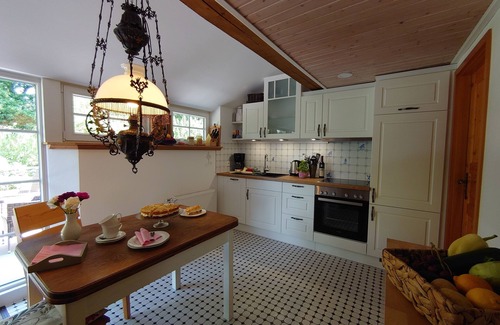 Ihlow Apartment | Thatched roof vacation apartment De Leev - Country house Lübbertsfehn in the middle of East Frisia