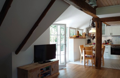 Ihlow Apartment | Thatched roof vacation apartment De Leev - Country house Lübbertsfehn in the middle of East Frisia