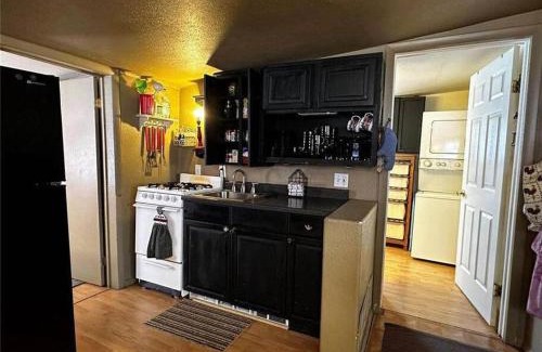 Leadville North House | The Air Capitol Cottage