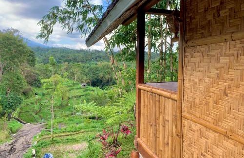 Tetebatu Hotel | The Alam Bungalow & Restaurant