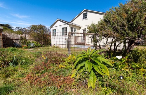 Albion House | The Albion Haus