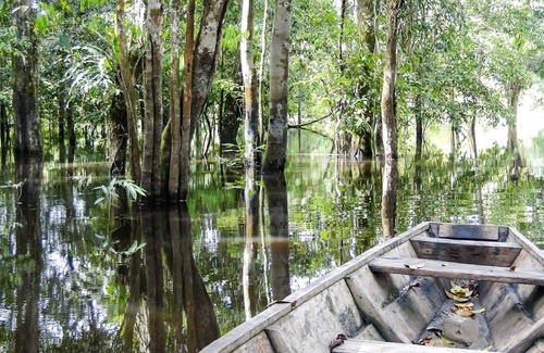 Leticia House | The Amazon floating hotel