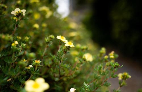 Barry House | The Anchorage & The Tackleshed