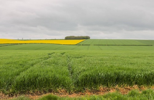Cranswick Cottage | THE ANNEX AT THE PACK HORSE, pet friendly in Hutton Cranswick
