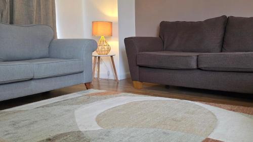 Livingston Apartment | The Ansi9