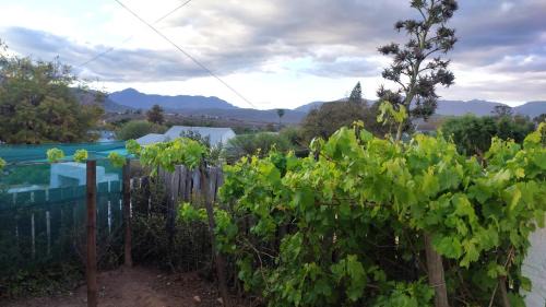 Calitzdorp Apartment | The Anvil Rest Cottage