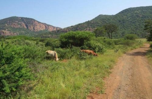 Makhado Cabin | The Anza Lifestyle Lodge