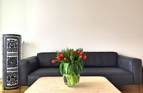 Mainz City Center Apartment | The Apartment Downtown