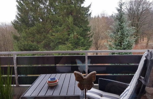 Hahnenklee Apartment | The apartment has a bath and a new fitted kitchen with dishwasher, ceramic hob,