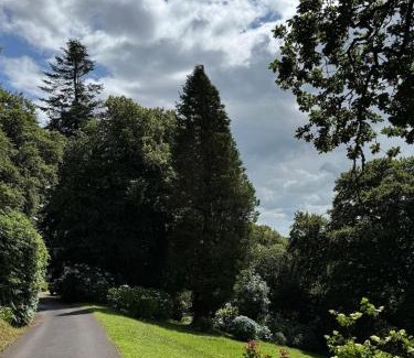 Cobh Apartment | The Arches, Georgian Apartment