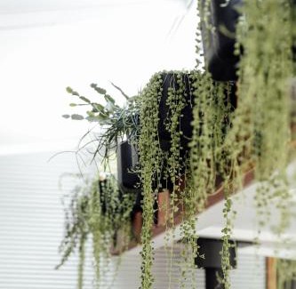 Woodlands House | The Artemis Cottage