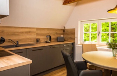 Baerenburg Apartment | The attractive kingdom of heaven in the rooftop of Villa Marie in Oberbärenburg